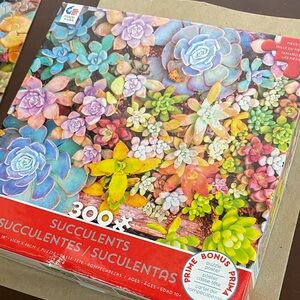 Vibrant Succulent Garden Puzzle